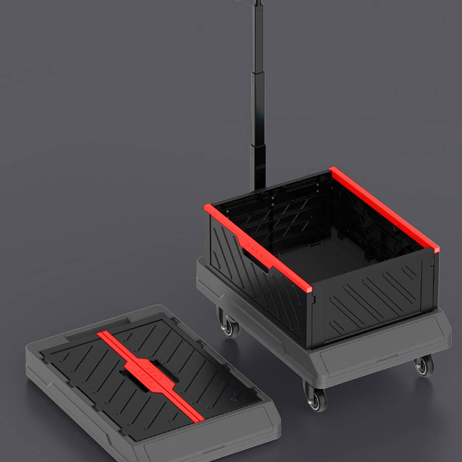 xp1.jpg