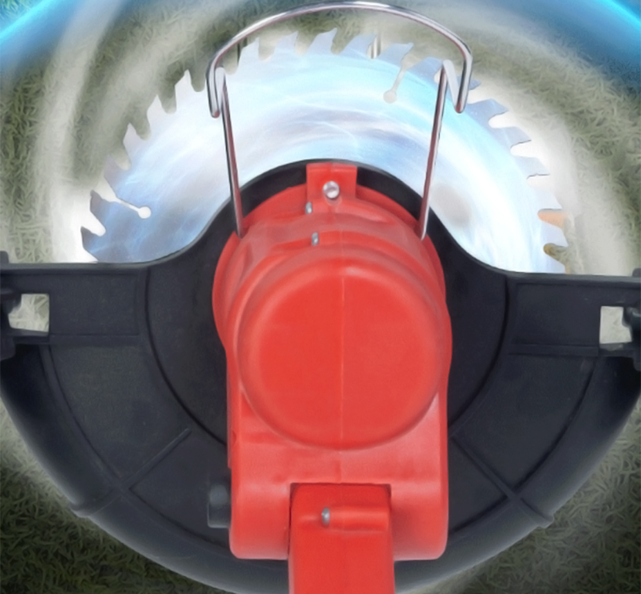 xq2.jpg