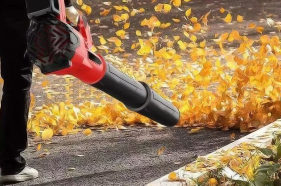 xq2.jpg