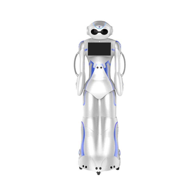 Reception Robot