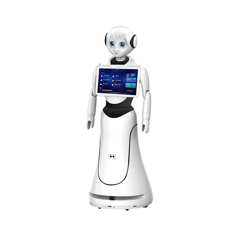Greeting & Reception Robot