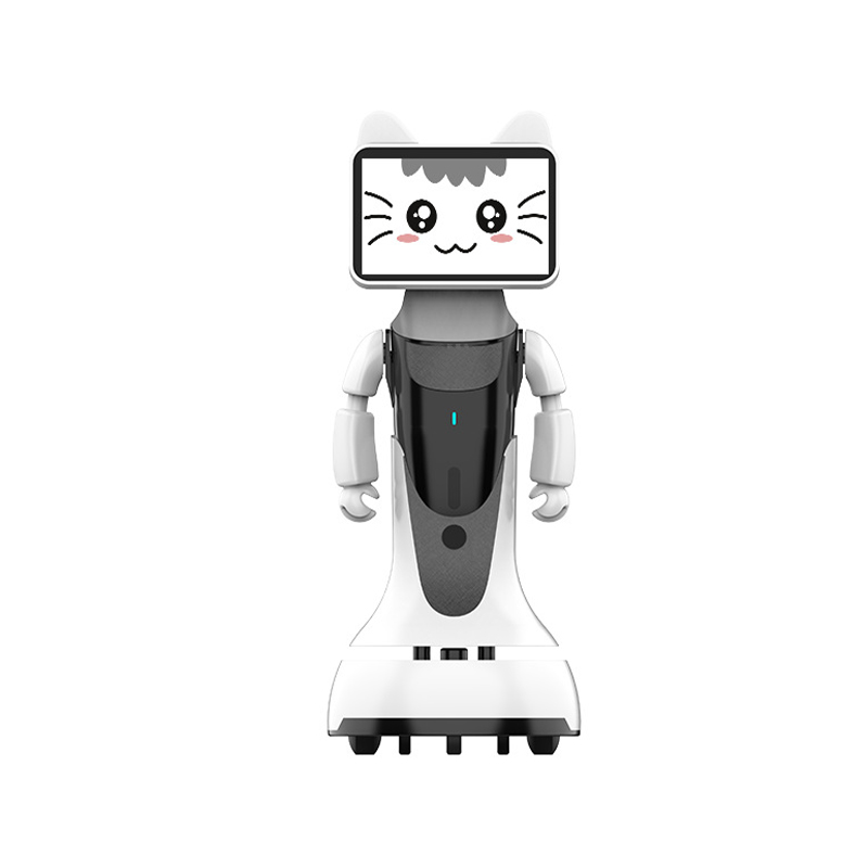 Greeting & Reception Robot