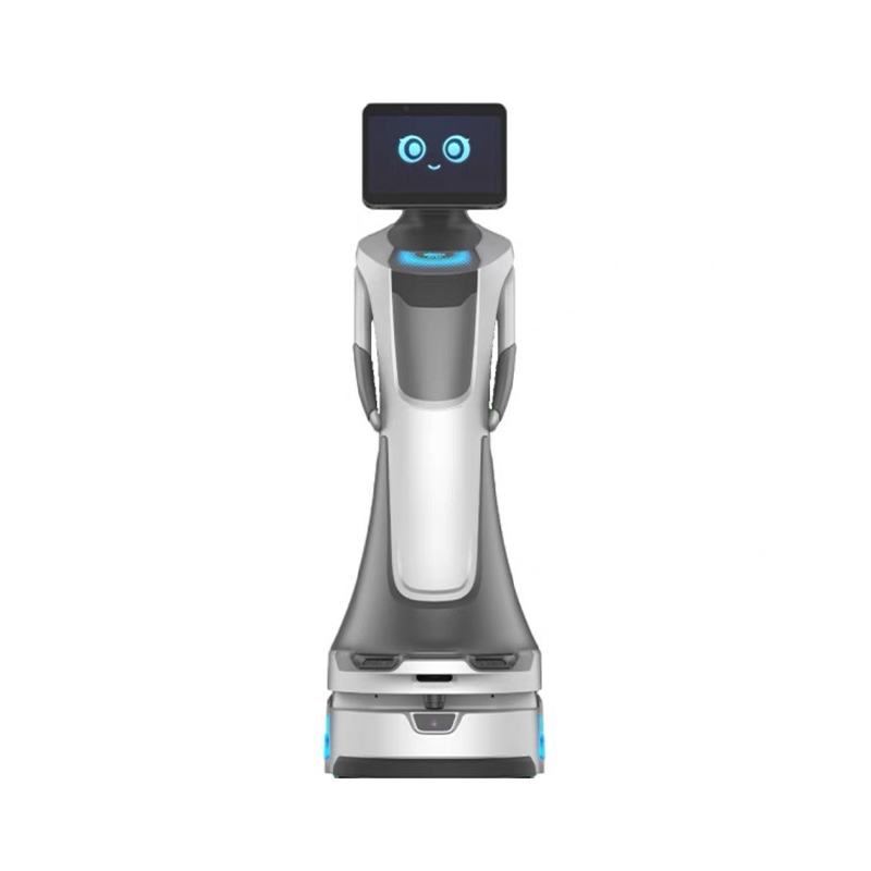 Intelligent Service Robot